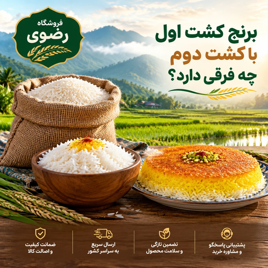 برنج کشت اول با کشت دوم چه فرقی دارد؟